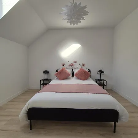 Au Coeur Des Vignes - Tatil Evi Verzenay